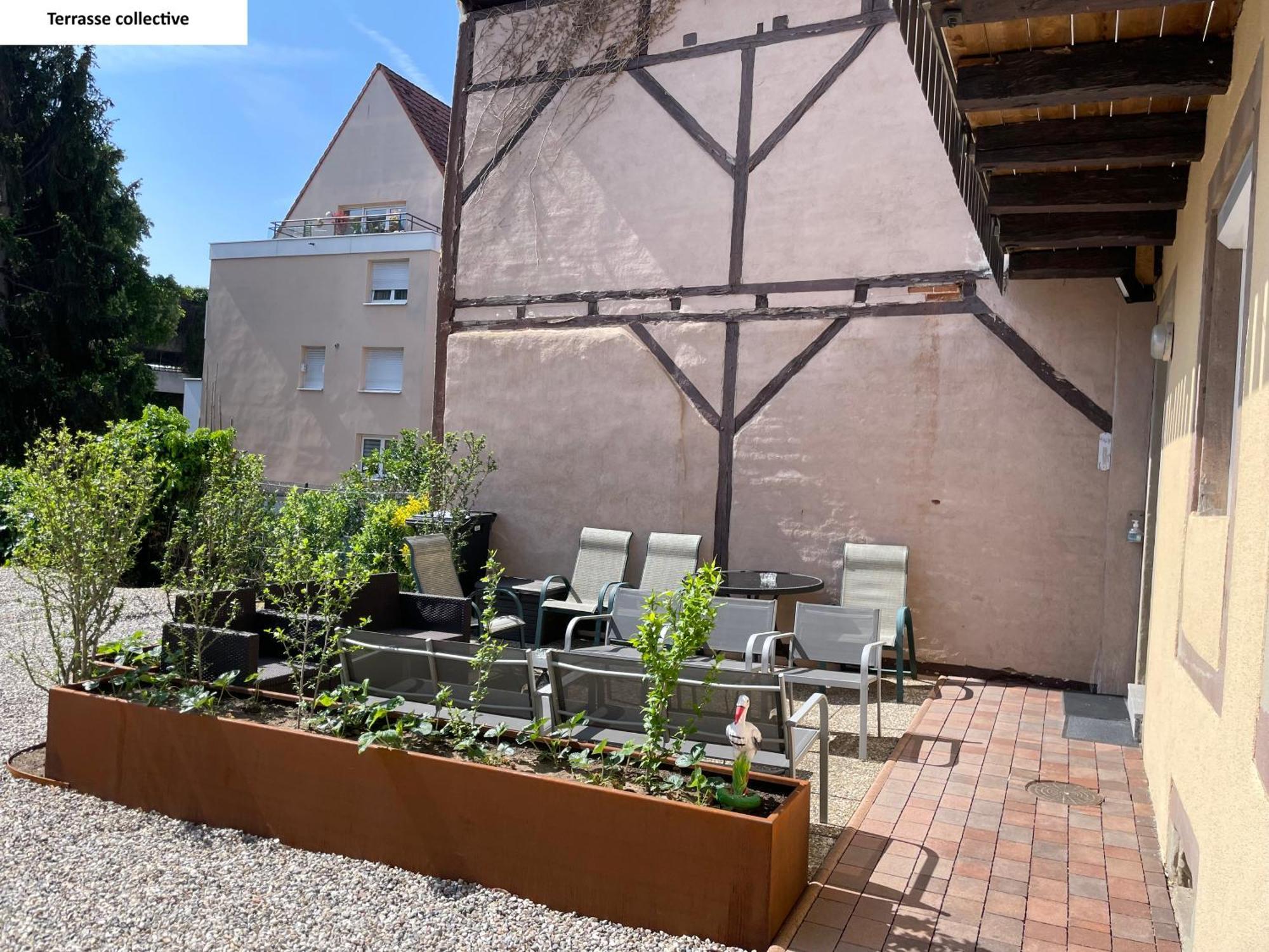 Appartements Centre Ville Colmar 4 Familles 외부 사진